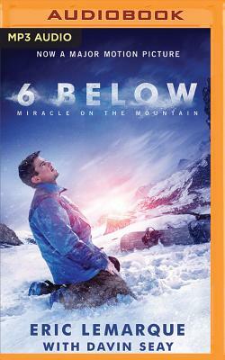 6 Below: Miracle on the Mountain by Eric Lemarque