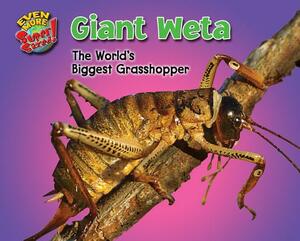 Giant Weta: The World's Biggest Grasshopper by Natalie Lunis