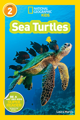 Sea Turtles by Laura Marsh