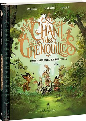 Au chant des grenouilles - Tome 1: Urania, la sorcière by Anaïs Halard, Florent Sacré, Barbara Canepa, Barbara Canepa