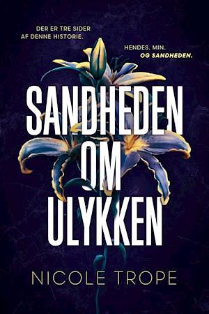 Sandheden om ulykken by Nicole Trope