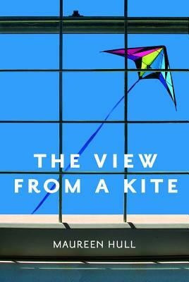 View from a Kite by Maureen Hull