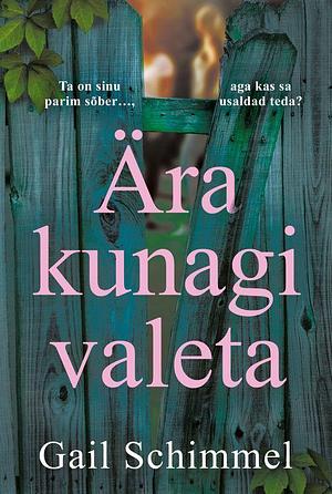 Ära kunagi valeta by Gail Schimmel