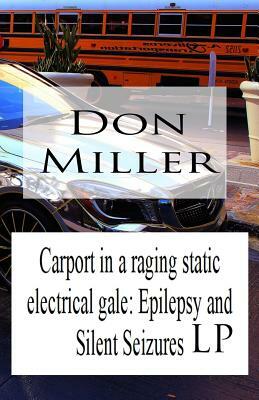 Carport in a Raging Static Electrical Gale: Epilepsy and Silent Seizures LP by Don Miller