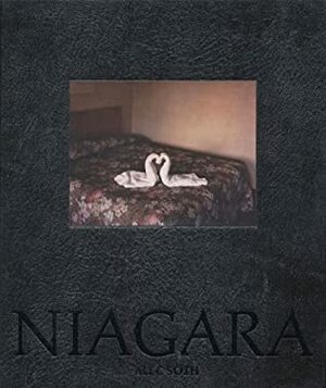 Niagara by Richard Ford, Philip Brookman, Alec Soth
