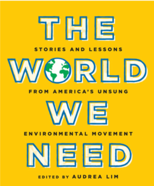 The World We Need: Stories and Lessons from America's Unsung Environmental Movement by 