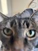 hannamon_14's profile picture