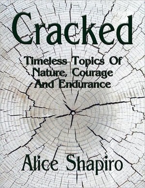 Cracked by Alice Shapiro