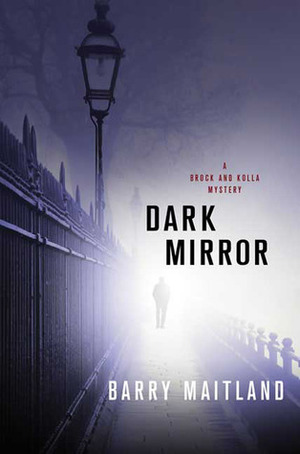 Dark Mirror by Barry Maitland