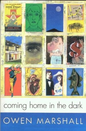 Coming Home In The Dark by Owen Marshall