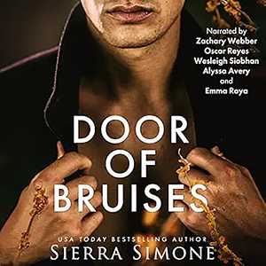 Door of Bruises by Sierra Simone