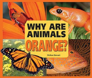 Why Are Animals Orange? by Melissa Stewart