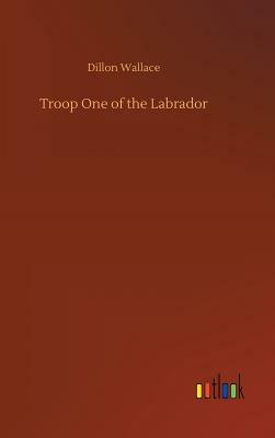 Troop One of the Labrador by Dillon Wallace