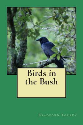 Birds in the Bush by Bradford Torrey