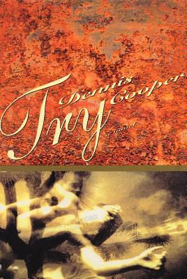 Try by Dennis Cooper | The StoryGraph