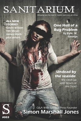 Sanitarium Issue #3: Sanitarium Magazine Issue #3 2012 edition by Faith Marlow, Quintin Peterson