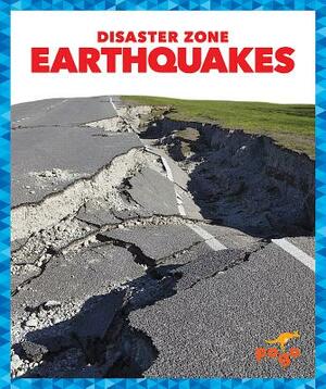 Earthquakes by Cari Meister