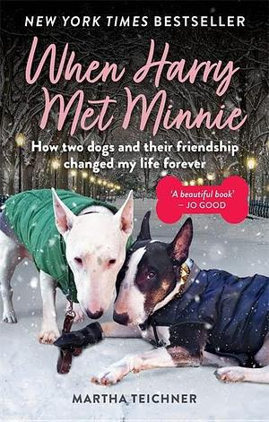 When Harry Met Minnie: An unexpected friendship and the gift of love beyond loss by Martha Teichner, Martha Teichner