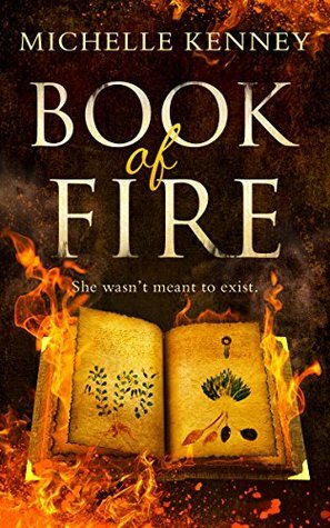 Book Of Fire by Michelle Kenney