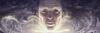 thordle's profile picture