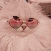 citren's profile picture