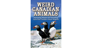 Weird Canadian Animals: Fascinating, Bizarre and Astonishing Facts from Canada's Animal Kingdom by Wendy Pirk