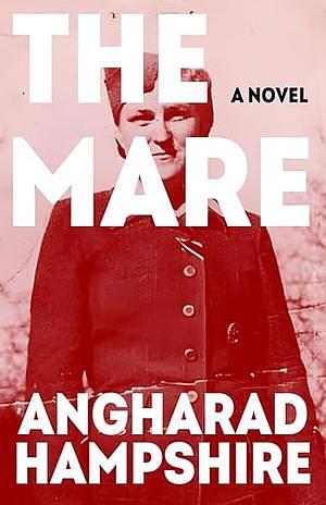 The Mare by Angharad Hampshire
