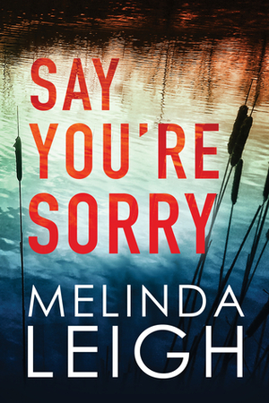 Say You're Sorry by Melinda Leigh