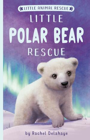 Little Polar Bear Rescue by Rachel Delahaye