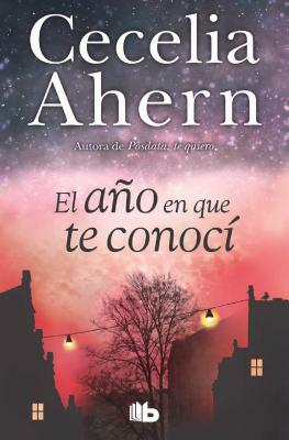 El Año En Que Te Conocí / The Year I Met You by Cecelia Ahern