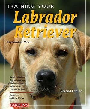 Training Your Labrador Retriever by September Morn