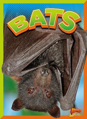 Bats by Gail Terp