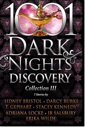 1001 Dark Nights Discovery Collection 3 by J.B. Salsbury, Sidney Bristol, Darcy Burke, T. Gephart, Adriana Locke, Erika Wilde, Stacey Kennedy