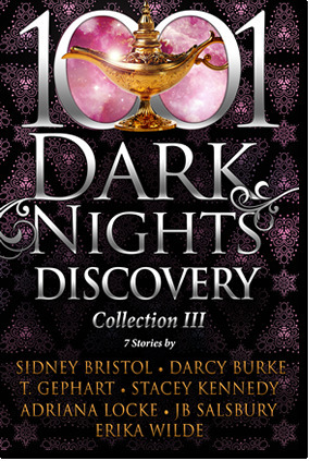 1001 Dark Nights Discovery Collection 3 by Stacey Kennedy, Sidney Bristol, Darcy Burke, Adriana Locke, J.B. Salsbury, T. Gephart, Erika Wilde