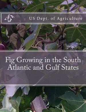 Fig Growing in the South Atlantic and Gulf States by Us Dept of Agriculture