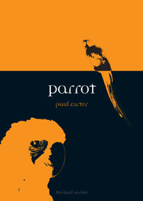 Parrot by Paul Carter