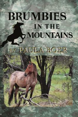 Brumbies in the Mountains by Paula Boer