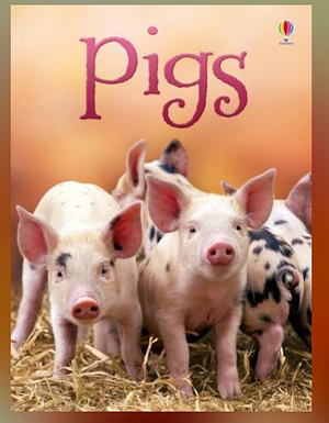 Pigs by James Maclaine