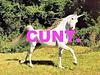 postlov3r's profile picture