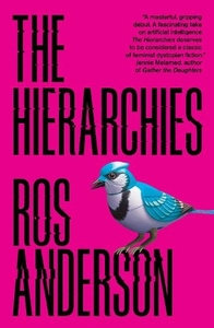 The Hierarchies by Ros Anderson