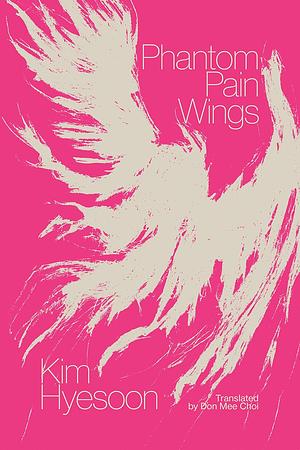 Phantom Pain Wings by Kim Hyesoon