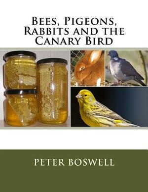Bees, Pigeons, Rabbits and the Canary Bird by Peter Boswell