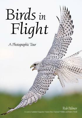 Birds in Flight: A Photographic Essay of Hawks, Ducks, Eagles, Owls, Hummingbirds, & More by Rob Palmer