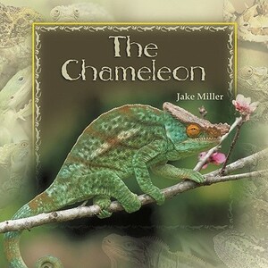 Chameleon by Marie Miller