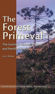 The Forest Primeval: The Geologic History of Wood and Petrified Forests by Leo J. Hickey