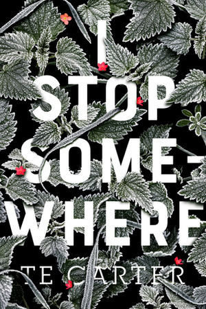 I Stop Somewhere by T.E. Carter