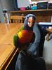 birdaphants's profile picture