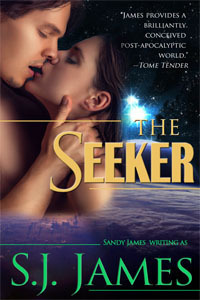 The Seeker by Sandy James