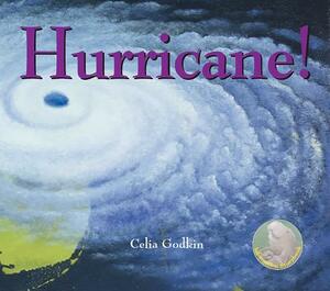 Hurricane! by Celia Godkin