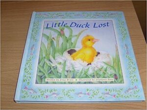 The Little Lost Duckling by Sue Barraclough